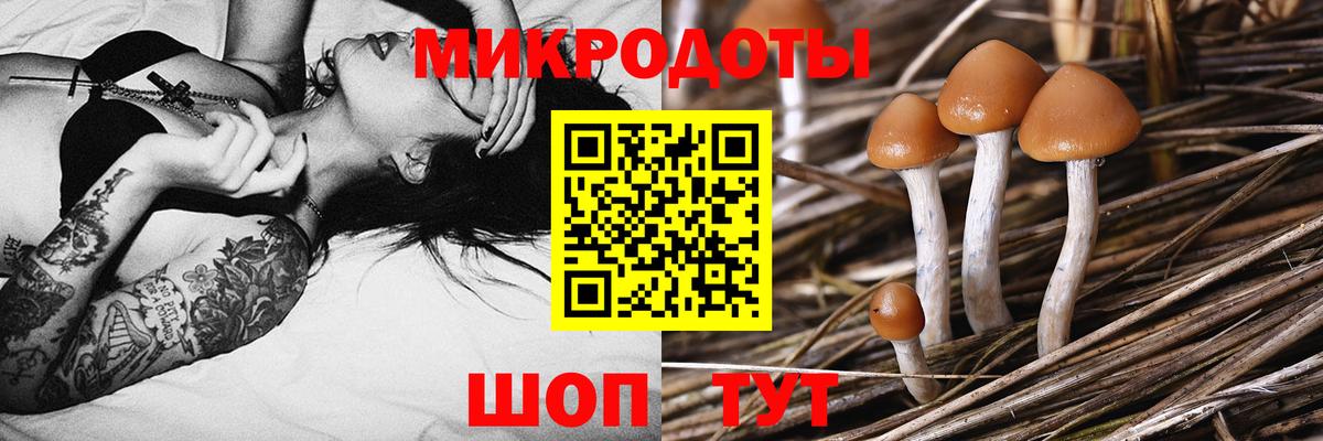 Галлюциногенные грибы прущие грибы  Галлюциногенные грибы Magic Shrooms  Кольчугино  Вход с VPN 
